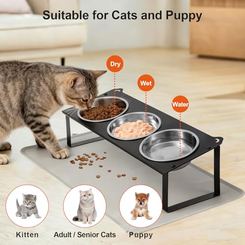 Elevated Cat Bowls with Food Mat, 10°Tilted Non-Slip Raised Cat Food Water Bowls Set, 3 Thick Stainless Steel Pets Dishes with Cute Metal Feeding Stand for Indoor Kitten Puppy, Anti-Vomiting