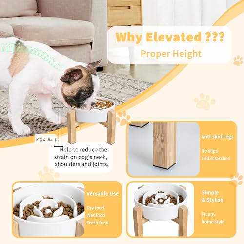Elevated Slow Feeder Dog Bowl - Ceramic Maze Food Dish with Bamboo Stand - Raised Feeding Bowl for Fast Eaters - Ideal for Small and Medium Dogs - White - 6.7 inch