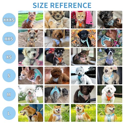 AIITLE Tiny Dog Harness - Lightweight Mesh Step-in Vest for Puppy, Reflective & Escape-Proof Design with High-Stick Magic Tape - Indoor/Outdoor Use for Chihuahua, Maltese, Shih Tzu(Brown-Beige, XXXS)