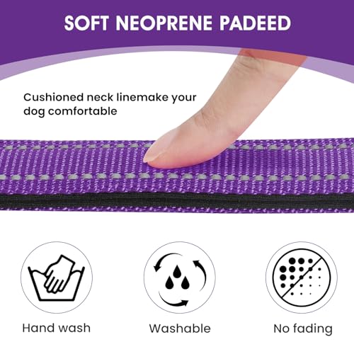 PenSeepet Reflective Dog Collar Padded with Soft Neoprene Breathable Quick Release Basic Dog Collars for Medium Dogs Purple Girl