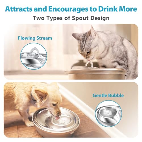 ORSDA Cat Water Fountain Stainless Steel, 2L Pet Fountain for Cats Inside, Dog Water Dispenser, Automatic Cat Drinking Fountains with 6 Replacement Filters for Cats, Small Dogs