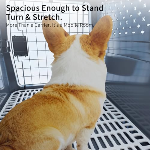 RIZZARI Pets Spree Hard-Sided Pet Travel Carrier, Portable Crate for Medium Dogs and Cats, Durable Plastic Carrier with Metal Door and Ventilation, Ideal for Air Travel, Trips and Outdoor Use