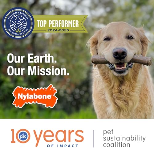Nylabone Textured Ring Power Chew Toy for Large Dogs, Durable Dog Toys for Aggressive Chewers, Strong Dog Chew Bones To Keep Them Busy, Flavor Medley, X-Large - 50+ lbs, 1 Count
