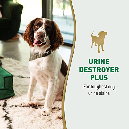 Nature's Miracle Urine Destroyer Plus for Dogs, Enzymatic Formula for Severe Dog Urine Stains, 32 oz
