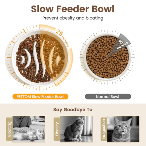 PETTOM Slow Feeder Cat Bowl Elevated Ceramic with Bamboo Stand, Raised Pet Puzzle Dishes for Indoor Cats Small Dog, Anti Vomit Cat Bowl for Wet & Dry Food