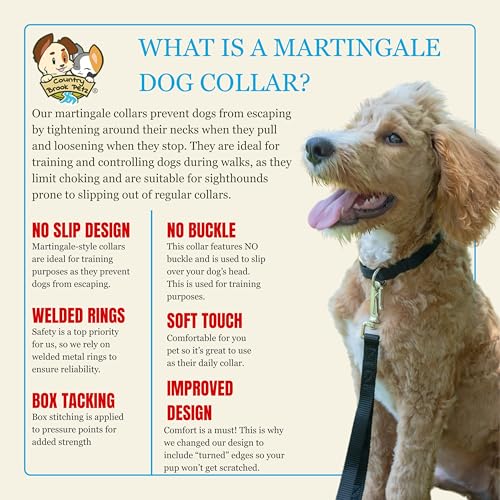 Country Brook Petz - Martingale Dog Collar - Heavy-Duty Training Collar with No Buckle - Service Dog Collar for All Pups - 20 Vibrant Colors (Black, 1 Inch, Medium)