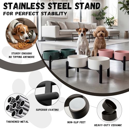 Raised Ceramic Dog Bowl Set - Elevated Double Dishes with Stainless Steel Stand - Food and Water Bowls for Small to Medium Dogs - Each Holds 3.5 Cups (29.57 fl oz) - Grey