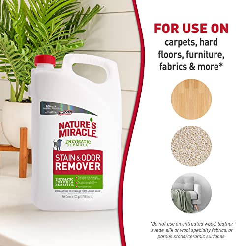 Nature’s Miracle Stain & Odor Remover, Tough on Dog Urine, Feces, Vomit, Drool and Other Organic Stains and Odors, 170 fl oz Refill