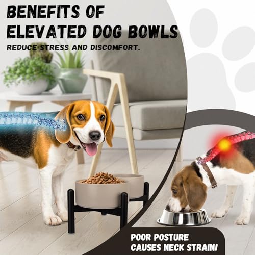 Raised Ceramic Dog Bowl Set - Elevated Double Dishes with Stainless Steel Stand - Food and Water Bowls for Small to Medium Dogs - Each Holds 3.5 Cups (29.57 fl oz) - Grey