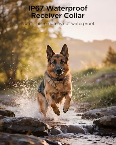 BLACKDOG Military Dog Shock Collar 2 Dogs (5-150lbs) - 4200ft Dog Training Collar with Remote, 4 Training Modes, Flashlight&Strobe, 90-Day Battery, IP67 Waterproof Dog E Collar for All Breeds (Blue)