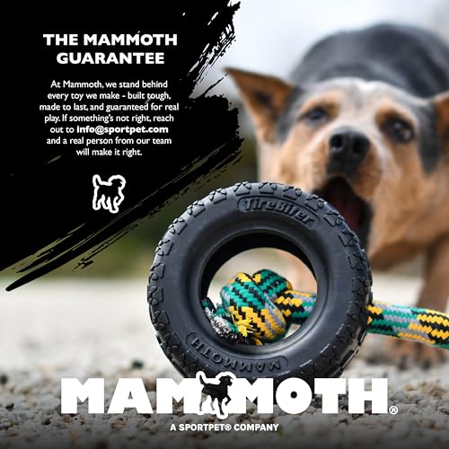 Mammoth Guardian Dog Kennel 36" Heavy Duty Travel & Outdoor Crate for Puppies, Small, Medium & Large Dogs, Secure 3 Bolt Lock, Adventure Ready for Hunting, Camping & Offroad – Lagoon Blue Kennel