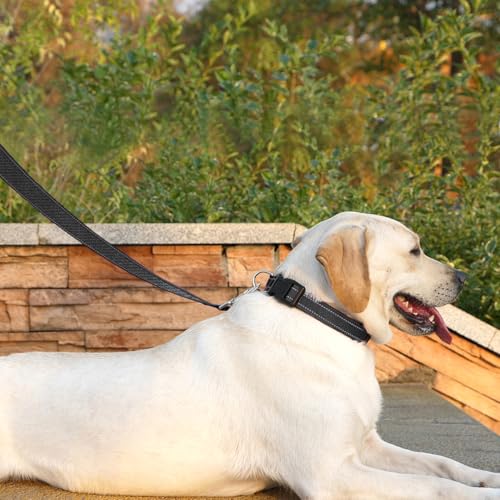 PenSeepet Dog Leash 6 FT Padded Handle Nylon Reflective Dogs Leashes for Medium Dogs Black