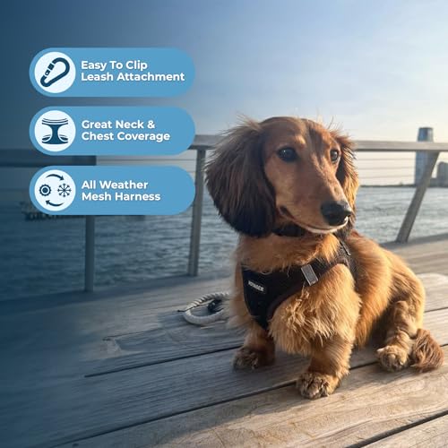 Best Pet Supplies - All Weather Mesh / Plush, Reflective, No Pull Harness for Small, Medium Dogs, Cats - Secure with Hook & Loop Fastener, Buckle, Double D-Rings - Black/Black Trim, S