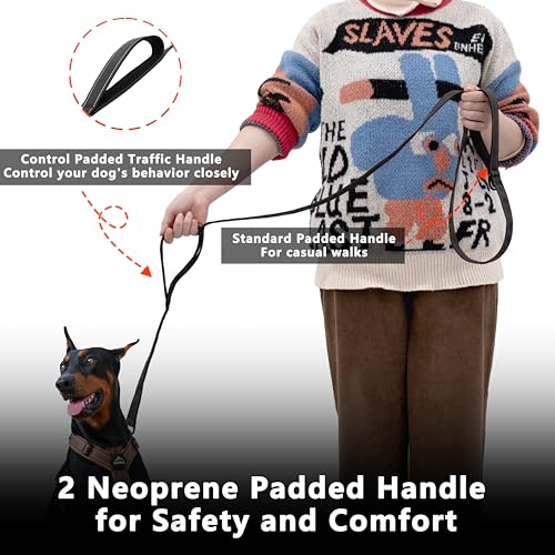 LIEVUIKEN Dog Leash 4ft Long, Double Handle Dog Leash for Safety Control Training, Heavy Duty Dogs Leads with Traffic Padded Handles, Reflective Leashes for Small Medium Large Dogs(4ft, Black)