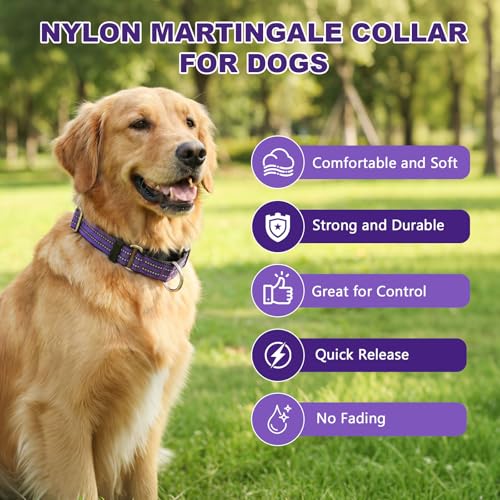 Hikiko Martingale Collar for Dogs Reflective Nylon Dog Collar with Quick Release Buckle Adjustable Training No Slip Dog Collars (Medium, Purple)