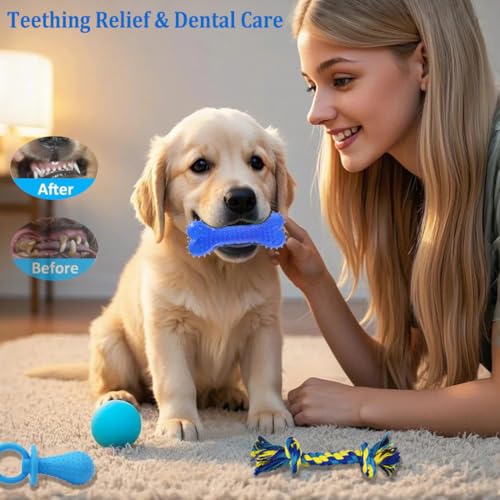 Beiker 20 Pack Puppy Chew Toys - Blue Dog Teething Toys for Puppies, Puppy Teething Rings and Ropes, Rubber Toy Bundle for Small Dogs, Cute Interactive Dog Balls for Small Breed