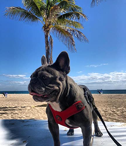 Gooby Escape Free Sport Harness - Red, Medium - No Choke Step-in Patented Neoprene Small Dog Harness with Four-Point Adjustment - Perfect on The Go Dog Harness for Medium Dogs No Pull and Small Dogs