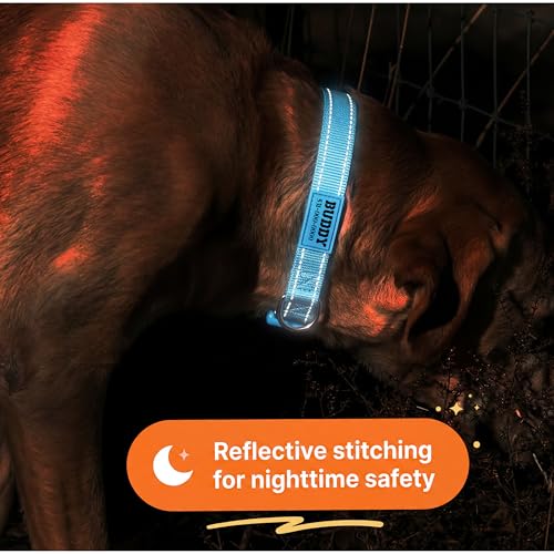 PAWBLEFY Personalized Dog Collars - Reflective Nylon Collar Customized with Name and Phone Number Adjustable Sizes for Small Dogs, Medium, Large 4 Colors Male Female boy Girl Puppies