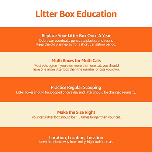 Amazon Basics Large Cat Litter Box with High Sides, Open Top for Easy Access, Includes Scoop with Storage, 19" x 15" x 11.75", Grey/Beige