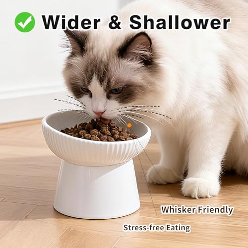 Elevated Cat Food Bowl, Ceramic Raised and Tilted Water Bowl, Whisker Fatigue Cat Bowls for Indoor Cats, Anti Vomiting and Protect Spines Pet Feeding Dishes for Kittens Small Dog, Heavy Non-Slip Base