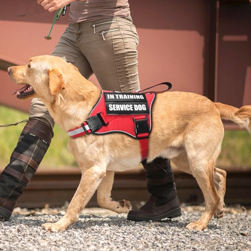 MOOGROU Service Dog Vest Harness and Leash Set+10 Patches,No Pull&Adjustable Reflective Dog Harness with Soft Padded Handle for Training/Everyday,Fit Small/Medium/Large/Extra-Large Dogs(Red M)