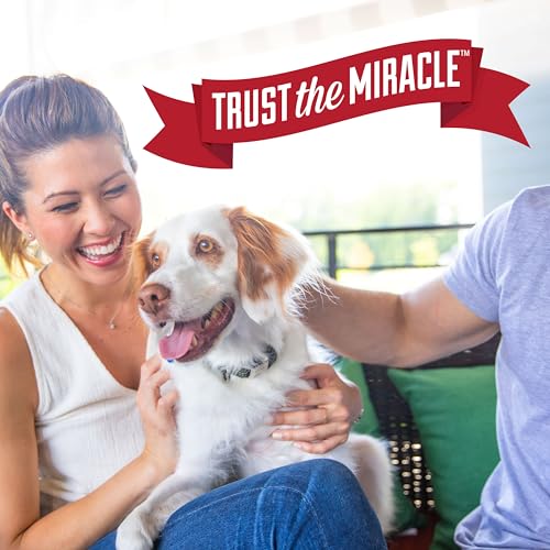 Nature's Miracle Urine Destroyer Plus for Dogs, Enzymatic Formula for Severe Dog Urine Stains, 32 oz