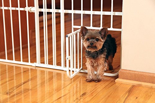 Carlson 24-38" Lil Tuffy Expandable Metal Dog Gate for Doorways, Indoor Pet Gate with Small Pet Door, No-Drill Pressure Mount, White