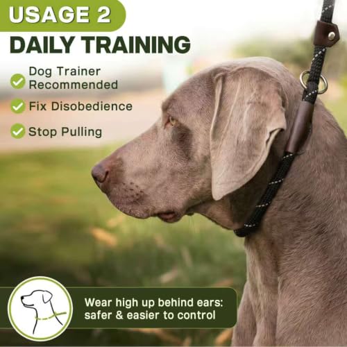Fida Durable Slip Lead Dog Leash, 6 FT x 1/2" Heavy Duty Dog Loop Leashes, Comfortable Strong Rope Slip Leash for Large Medium Dogs, No Pull Pet Training Lead with Highly Reflective(1/2", Black)