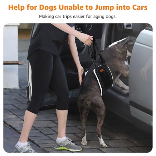 LOOBANI Portable Dog Sling for Back Legs, Hip Support Harness to Help Lift Rear for Canine Aid Old K9 Cruciate Ligament Rehabilitation