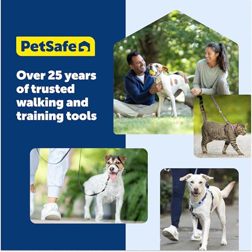 PetSafe Easy Walk Comfort No-Pull Dog Harness Full-Body Padding - Better Walks on the First Use - 5 Points of Adjustment Medium, Pink