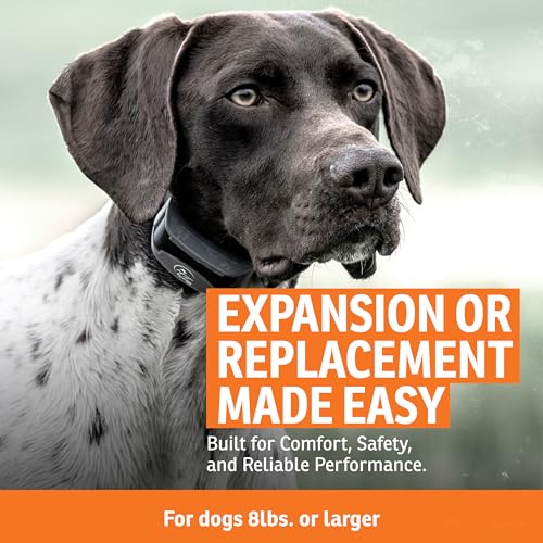 SportDOG FieldTrainer 425X & SportHunter 825X Add-a-Dog Collar - Double Pairing Compatible - Safe Shock E-Collar for Multi-Dog Households - Durable & Waterproof Obedience Training Accessory - Orange