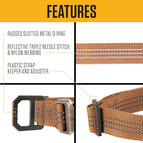Carhartt Nylon Webbing Dog Collar, Fully Adjustable W/Durable Side Release Buckle and Reflective Stitching, Shaded Spruce, Medium