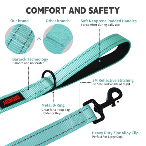 Heavy Duty Dog Leash with 2 Handles - 6ft Reflective Anti-Pull Leash for Large Dogs, Padded Traffic Handle for Control, Durable Nylon Training Lead (Black)