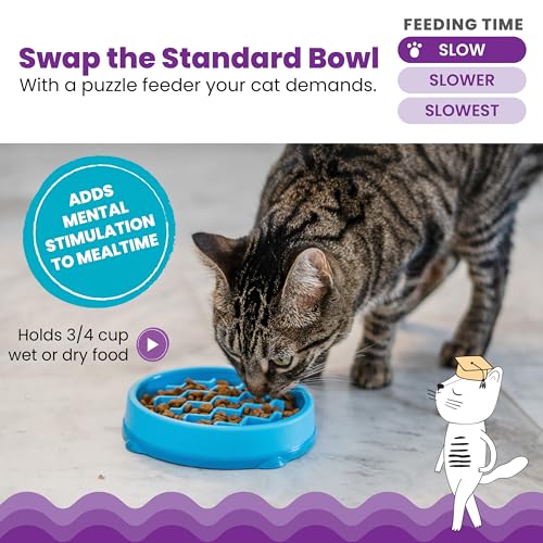 Catstages Kitty Slow Feeder Bowl for Cats & Small Dogs, Puzzle Dish for Fast Eaters, for Wet or Dry Food, Helps Slow Eating & Aid Digestion, Non-Slip, Made Without BPA, 3/4 Cup, 5-Inch, Blue