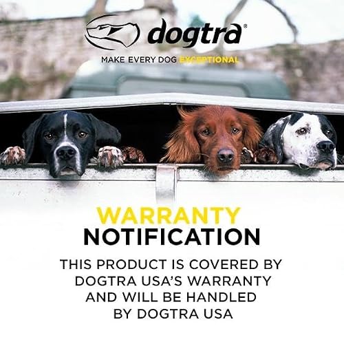 Dogtra iQ Mini Rechargeable Waterproof Mini Dog Training E-Collar with Water-Resistant Remote
