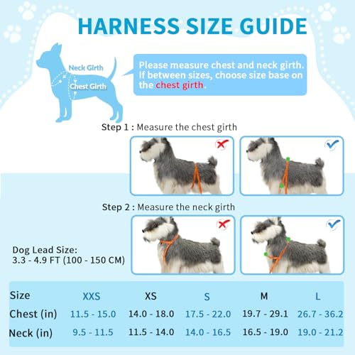 Lukovee No Pull Dog Harness and Leash Set, Soft Padded Small Dog Harness, Neck & Chest Adjustable Reflective Vest Puppy Harness with 4ft Lightweight Anti-Twist Dog Leash for Small Dogs (XS, Blue)