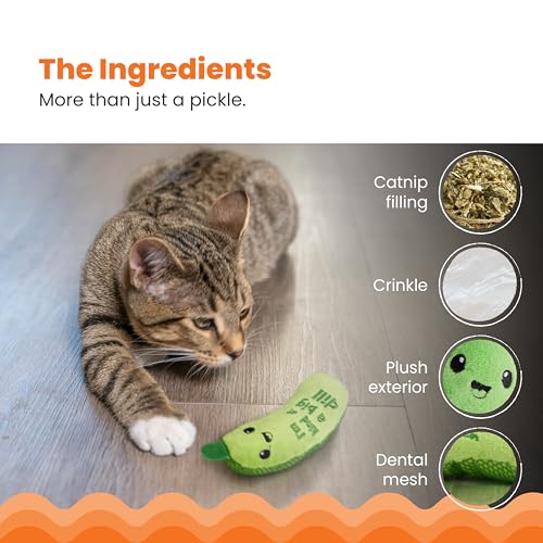 Catstages Crunchy Pickle Kicker Cat Toy – Plush Crinkle Toy with Catnip and Dental Mesh, 6.5"