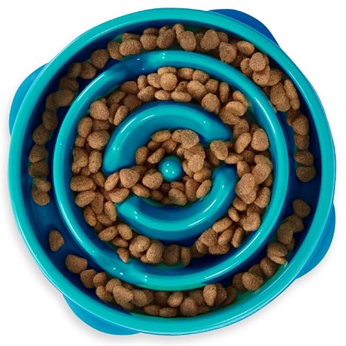 Outward Hound Fun Feeder Slo Bowl – Medium 2‑Cup Capacity, Slow Feeding, Small to Medium Dogs & Cats, Non-Slip, Turquoise, Drop Pattern
