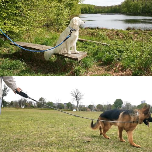 MayPaw Heavy Duty Rope Dog Leash, 3/4/6/7/8/10/12/15/20/30 FT Nylon Pet Leash, Soft Padded Handle Thick Lead Leashes for Large Medium Dogs (Black, 1/2" * 6')