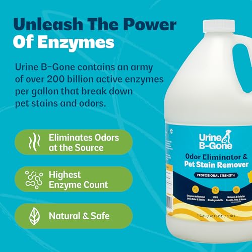 Urine B-Gone, Professional Enzyme Odor Eliminator & Pet Stain Remover, Human, Cat & Dog Urine Cleaner, Effective on Laundry, Carpets & More, Original Scent, 1 Gallon