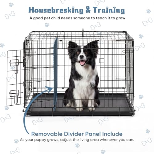 DUMOS Dog Crate, 36 Inch Medium Double Door Dog Cage with Plastic Leak-Proof Pan Tray, Handle, Folding Metal Wire Pet Kennel for Indoor, Outdoor, Travel
