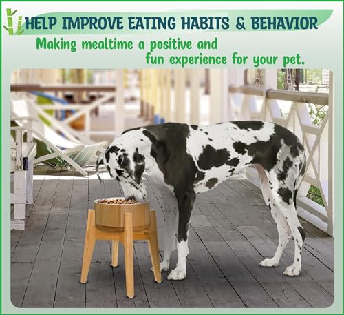 Elevated Dog Bowls for Large Breed - (15-Inch High) Raised Food/Water Bowl with Stand - Bamboo-Steel, Dry/Wet Food Suitable