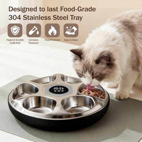 Automatic Wet Food Cat Feeder for Cats Dogs 6 Meal Timed Fresh Foods Dispenser with 2 Ice Pack (Black)