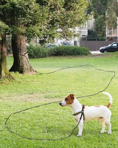 Taglory Long Dog Leash with Removable Padded Handle Tie Out, 15/30/50/66FT Heavy Duty Training Leash with 2 Swivel Hooks for Large Medium Small Dogs Camping, Hiking, Walking, Backyard, Black, 30FT