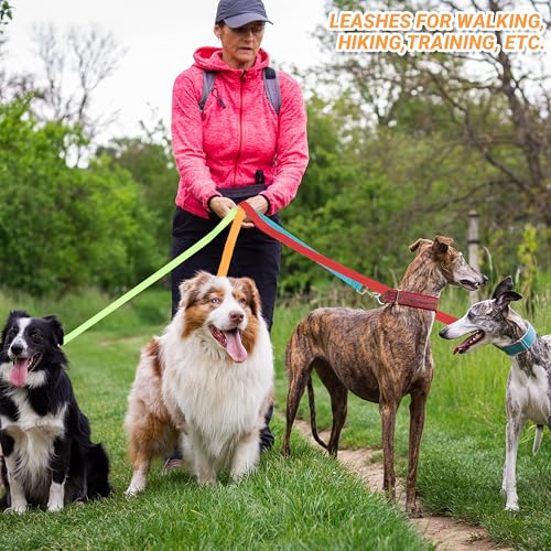 AMFOSNEL 12 Pcs Dog Leashes for Small Medium Large Dogs, 6FT Lead Short Dog Leash with Swivel Hook for Walking, Training, Hiking, Rescues, Grooming, Shelter, Outdoor
