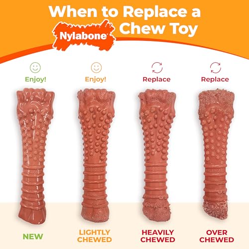 Nylabone Textured Ring Power Chew Toy for Large Dogs, Durable Dog Toys for Aggressive Chewers, Strong Dog Chew Bones To Keep Them Busy, Flavor Medley, X-Large - 50+ lbs, 1 Count