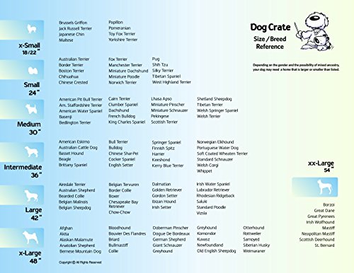 MidWest Homes for Pets Intermediate LifeStages Double Door 36-Inch Folding Dog Crate, Enhanced Security, Includes Leak-Proof Pan, Divider Panel, Handle, Rubber Feet