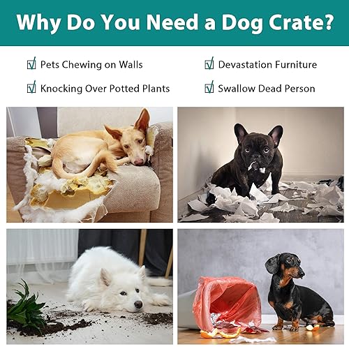 48 Inch Extra Large Dog Crates for Medium Dogs Double-Door Folding XXL Dog Crates for Large Dogs Indoor/Outdoor Dog Cages for Large Dogs Metal Wire Dog Kennel with Plastic Tray and Handle(Black)