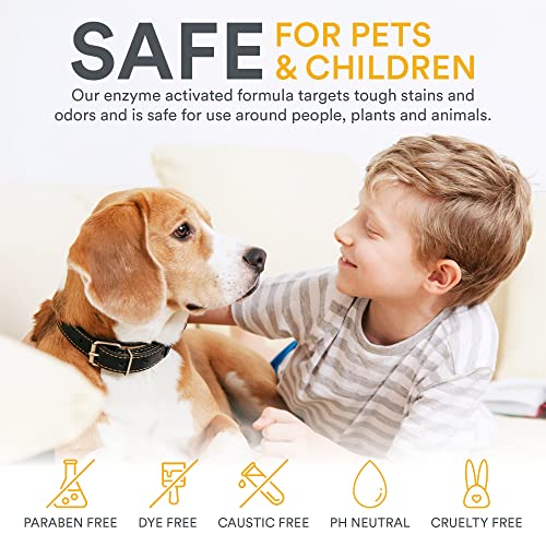 Zeiff Pet Stain and Odor Remover - Pet Odor Eliminator for Home and Professional Use - Carpet Stain Remover - Pet Urine Enzyme Cleaner for Dog and Cat Pee, Feces, and Fluids - 1 Gallon