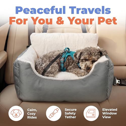 Best Pet Supplies Elevated Dog Car Seat for Small Dogs, Booster Seat with Safety Tether & Storage, Washable Travel Pet Seat for Front or Back Seat, Up to 25 lbs - Gray - 21 x 20 x 14